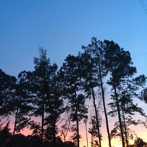 Meet your Posher, Ansley